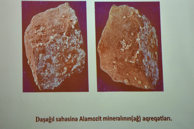 GGİ-də ƏLDƏ EDİLMİŞ MÜHÜM ELMİ NƏTİCƏLƏRİN MÜZAKİRƏSİ KEÇİRİLİB