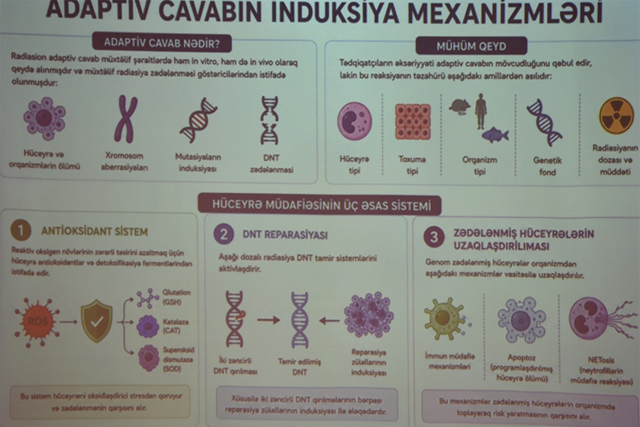 ETN GEOLOGİYA İNSTİTUTUNDA NÖVBƏTİ ELMİ LEKTORİYA MARAQLA QARŞILANIB